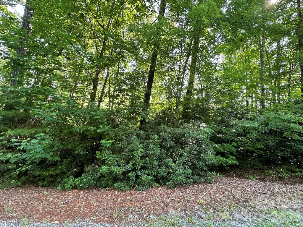 67 Peppervine Circle Rosman NC 28772