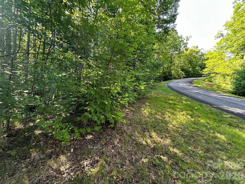 67 Peppervine Circle Rosman NC 28772
