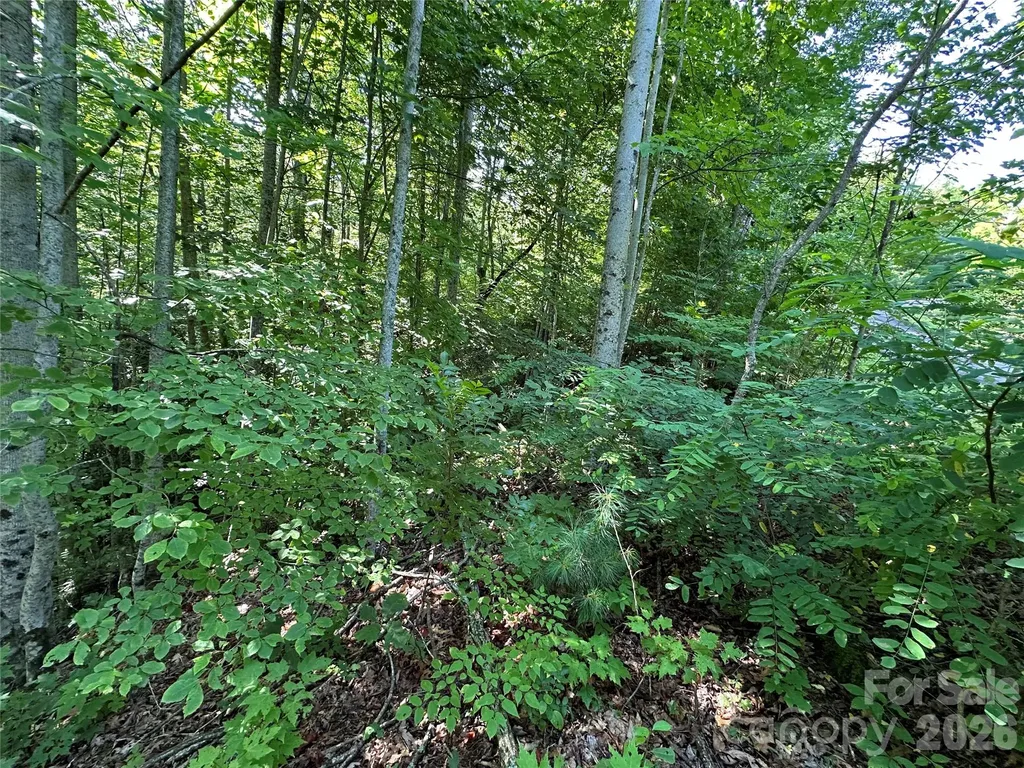 67 Peppervine Circle Rosman NC 28772