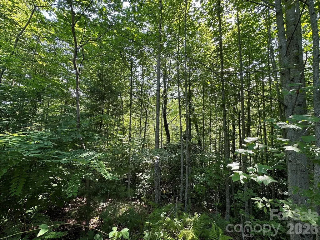 67 Peppervine Circle Rosman NC 28772