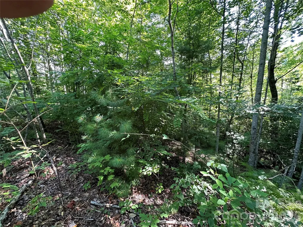 67 Peppervine Circle Rosman NC 28772