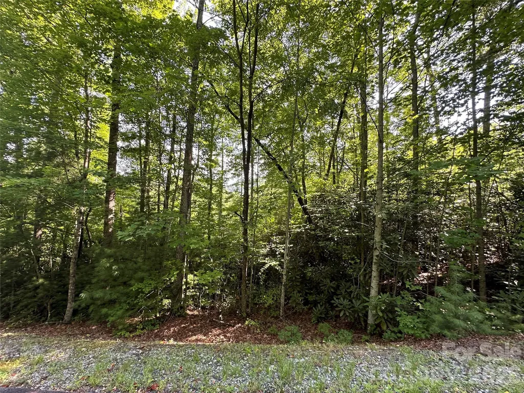 67 Peppervine Circle Rosman NC 28772