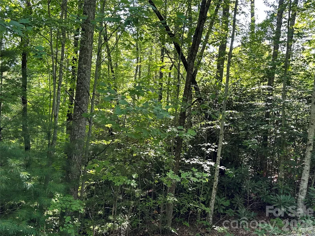 67 Peppervine Circle Rosman NC 28772