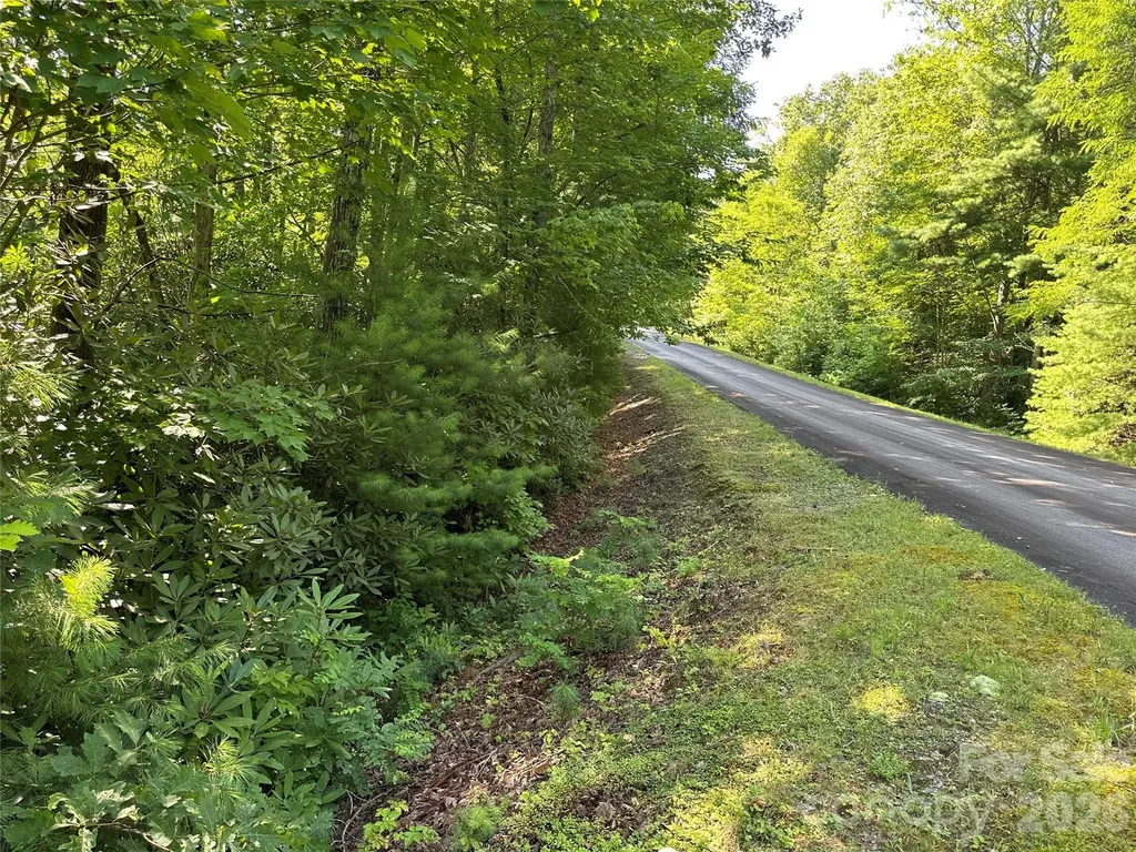 67 Peppervine Circle Rosman NC 28772