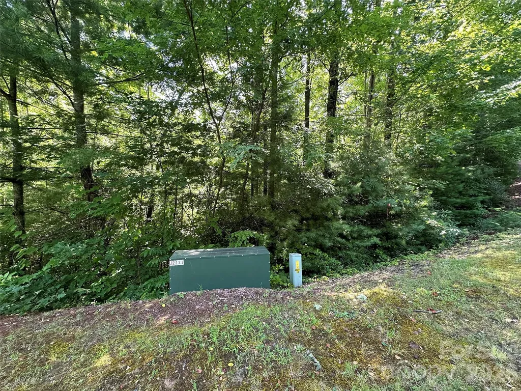 67 Peppervine Circle Rosman NC 28772