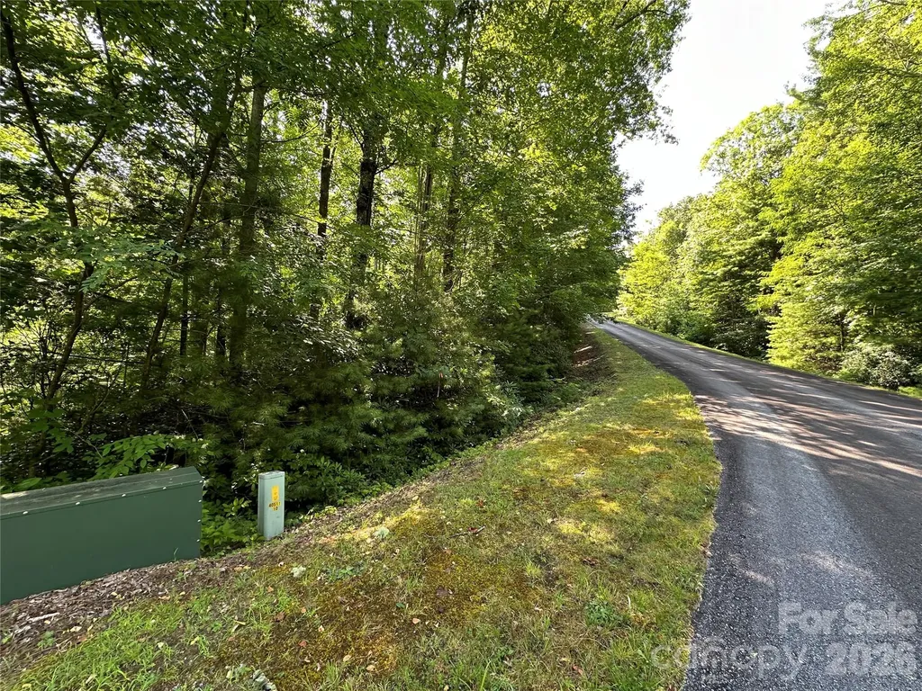 67 Peppervine Circle Rosman NC 28772
