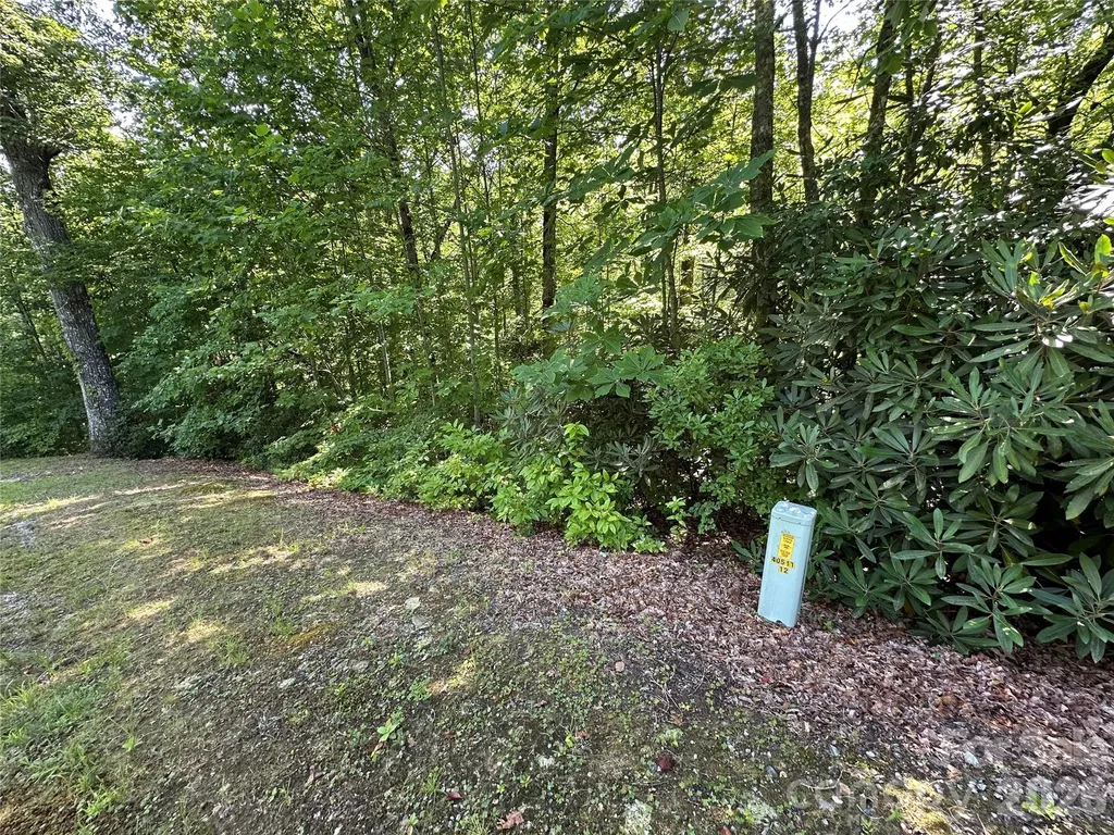 67 Peppervine Circle Rosman NC 28772
