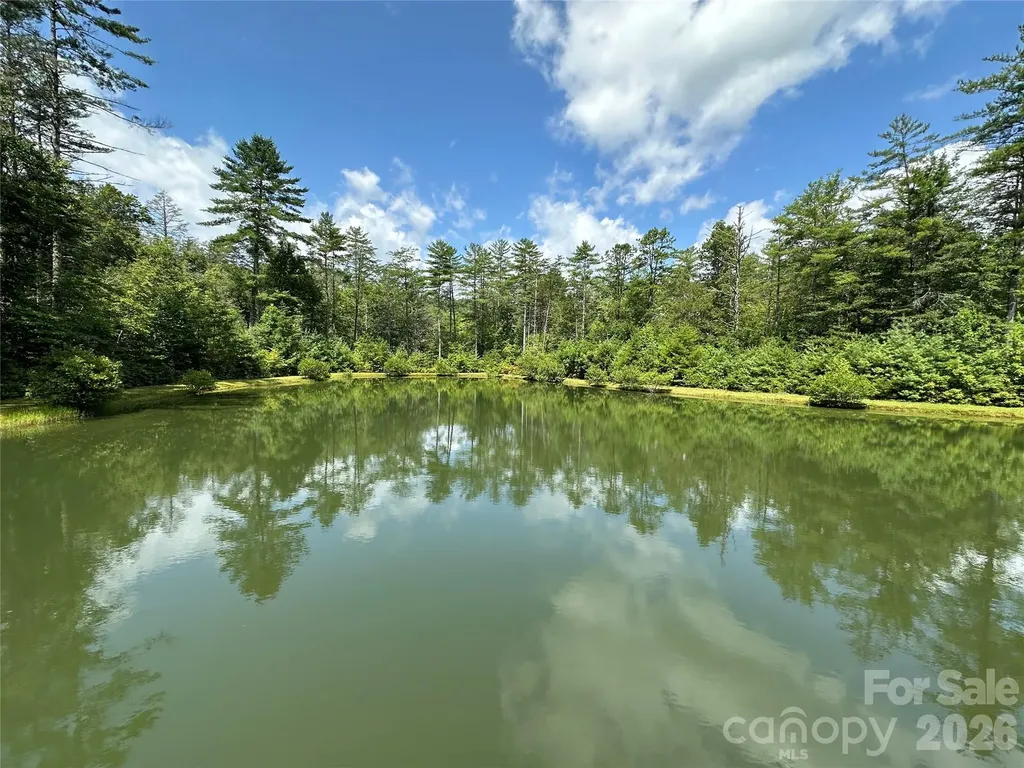 67 Peppervine Circle Rosman NC 28772
