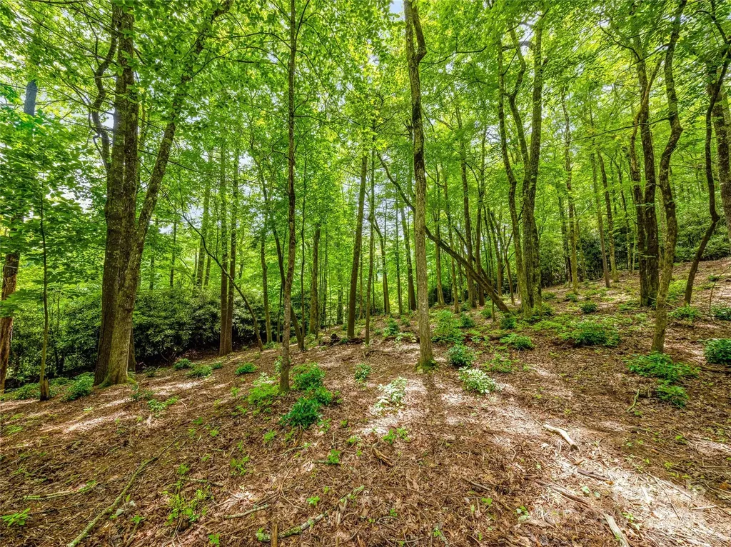 K 28 Chestnut Trace Lake Toxaway NC 28747