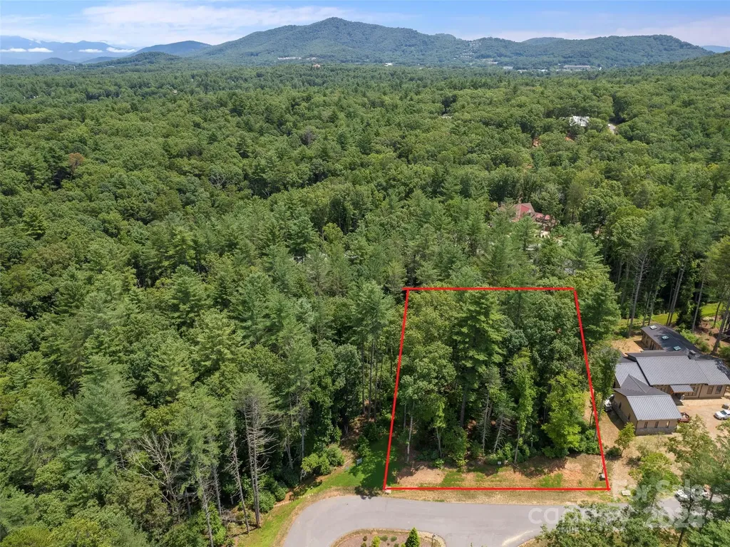 323 Flowering Vine Court Asheville NC 28803