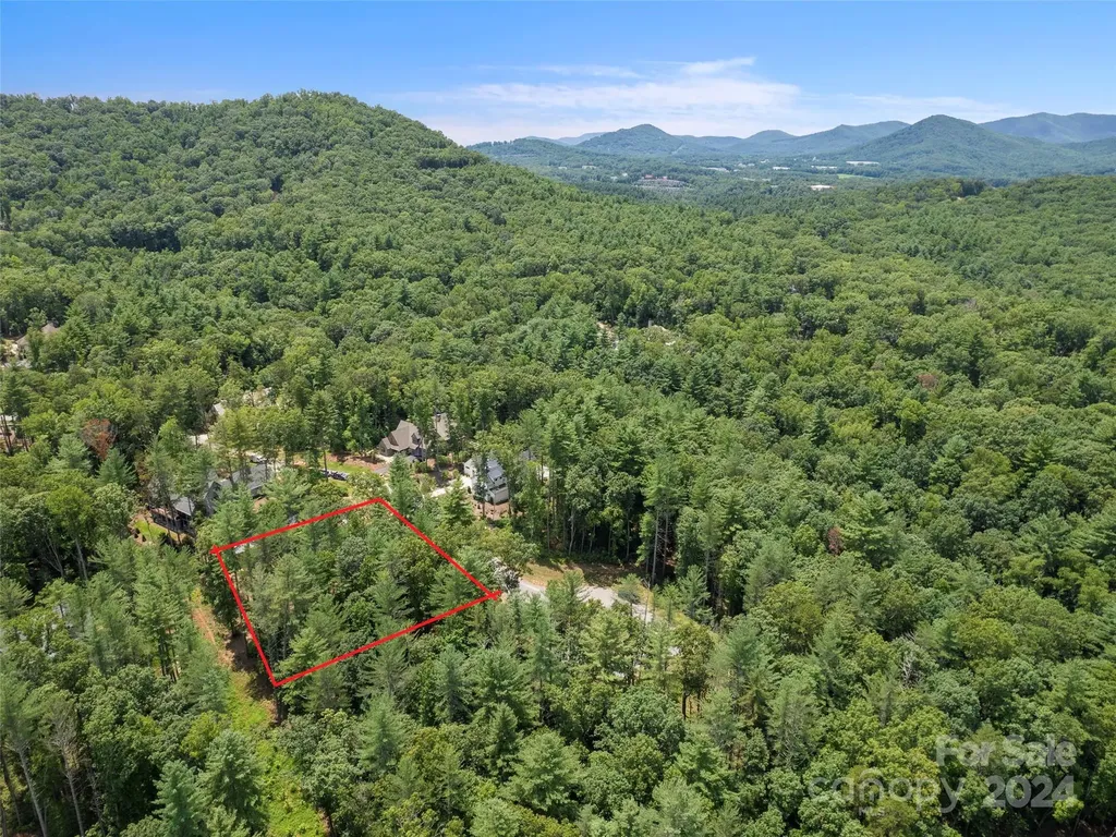 323 Flowering Vine Court Asheville NC 28803