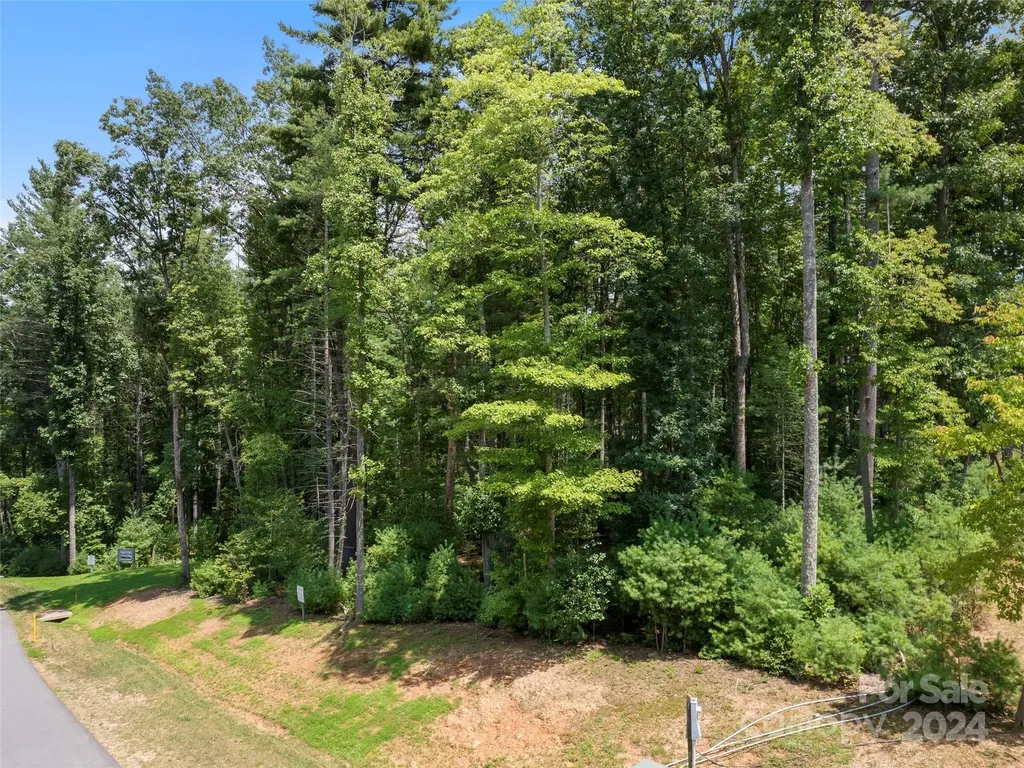 323 Flowering Vine Court Asheville NC 28803