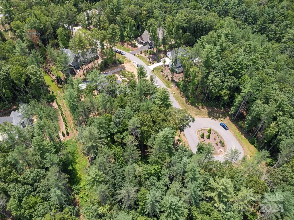 323 Flowering Vine Court Asheville NC 28803