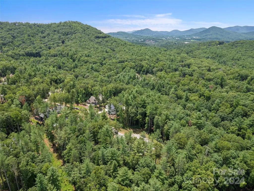 323 Flowering Vine Court Asheville NC 28803