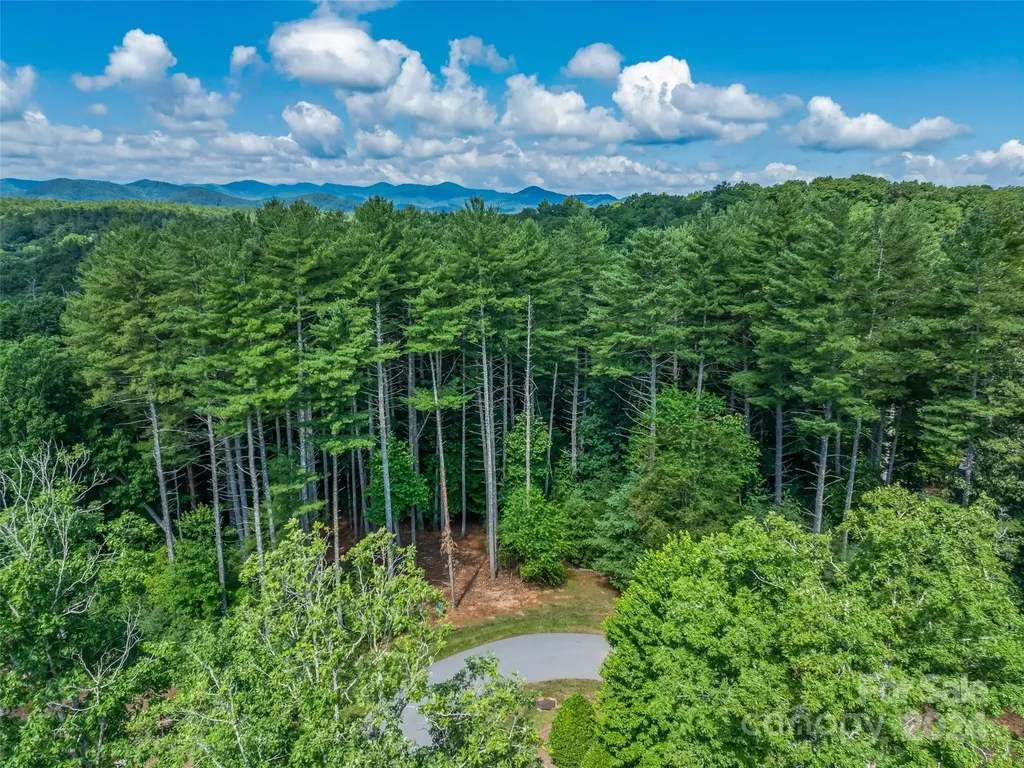 128 Mirehouse Run Asheville NC 28803