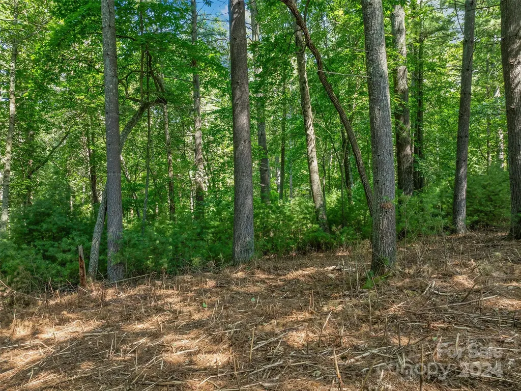 128 Mirehouse Run Asheville NC 28803