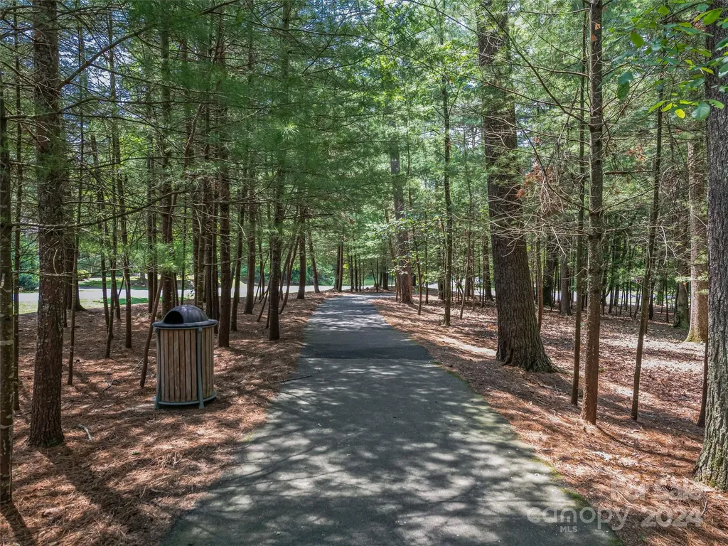 128 Mirehouse Run Asheville NC 28803