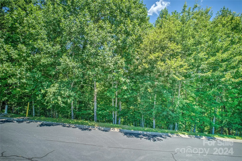 1018 Mills River Way Horse Shoe NC 28742