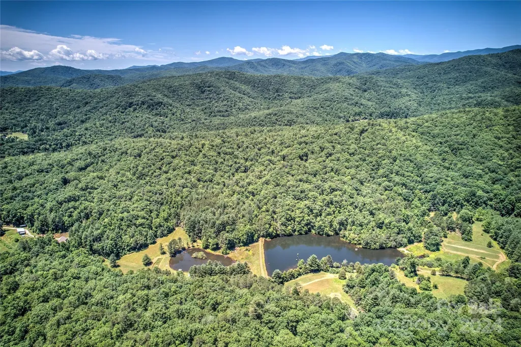 1018 Mills River Way Horse Shoe NC 28742
