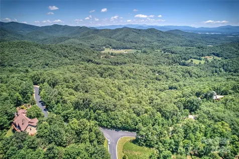 1018 Mills River Way Horse Shoe NC 28742