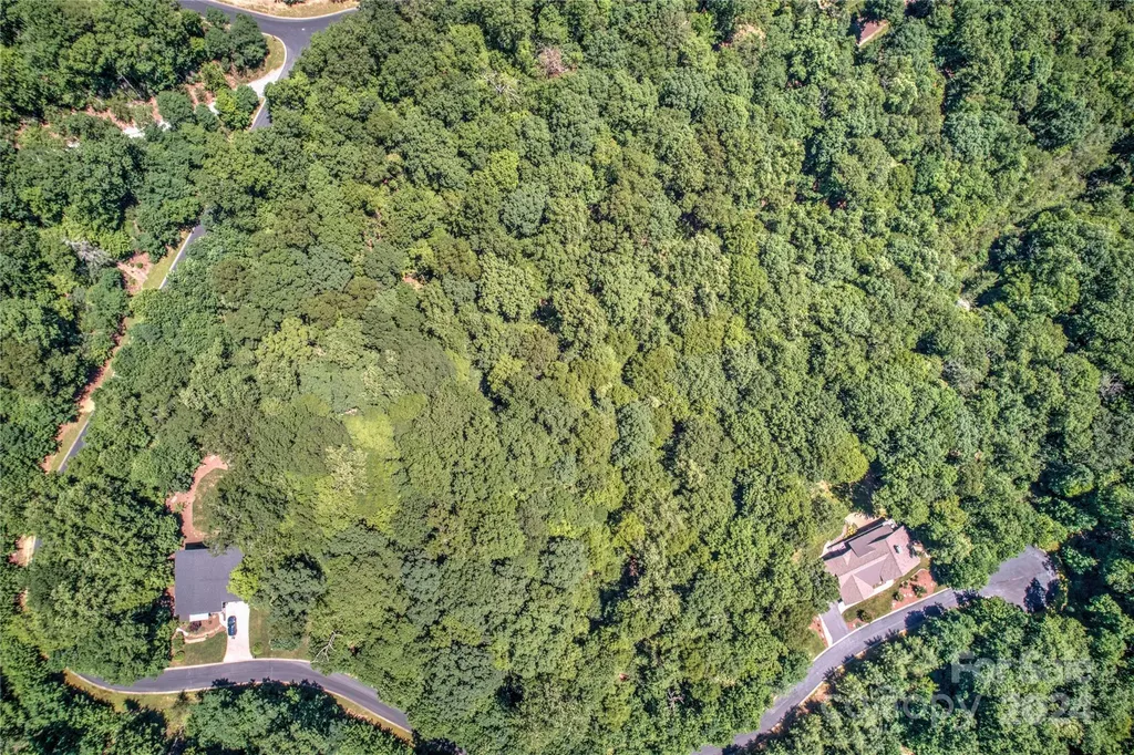 567 Shining Rock Path Horse Shoe NC 28742