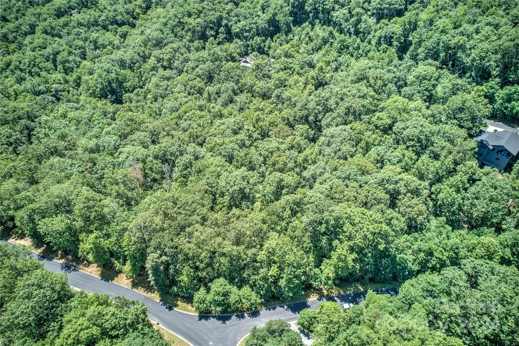 567 Shining Rock Path Horse Shoe NC 28742