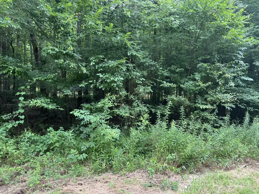 00 Cottonville Road Norwood NC 28128