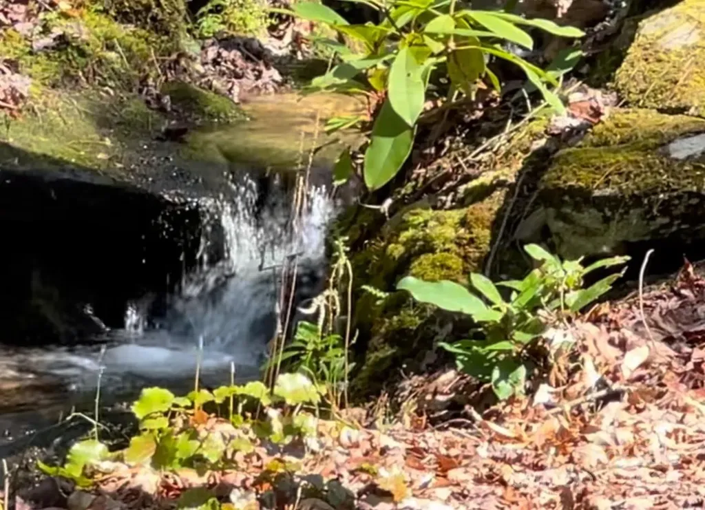 6 Majestic Trace Hendersonville NC 28739