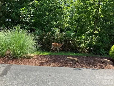 00 Saratoga Drive Nebo NC 28761