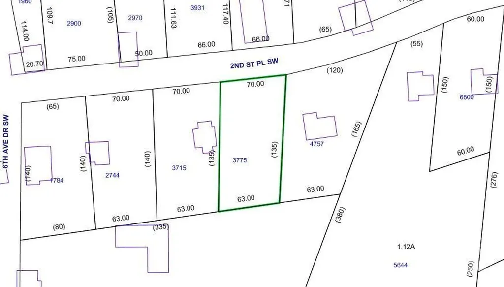 603 2nd Street Place SW Conover NC 28613