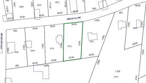 603 2nd Street Place SW Conover NC 28613