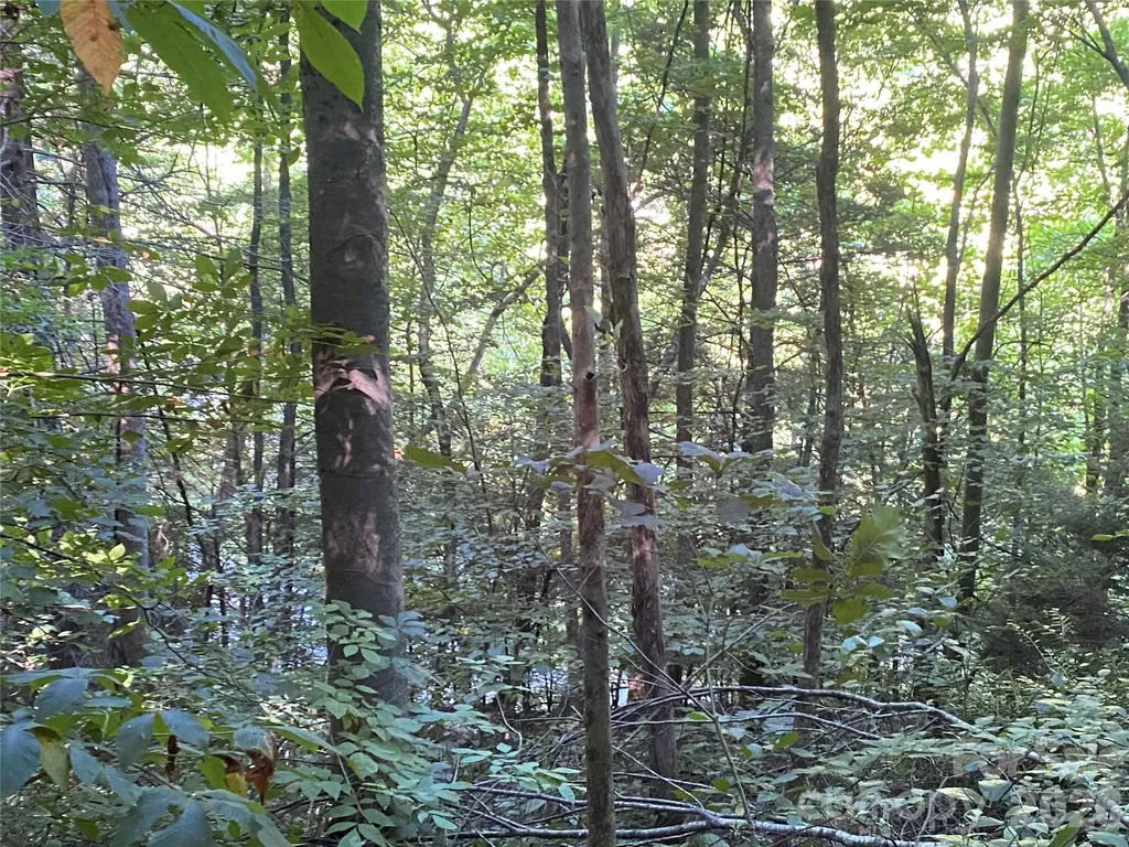 0000 Big Laurel Road Marshall NC 28753