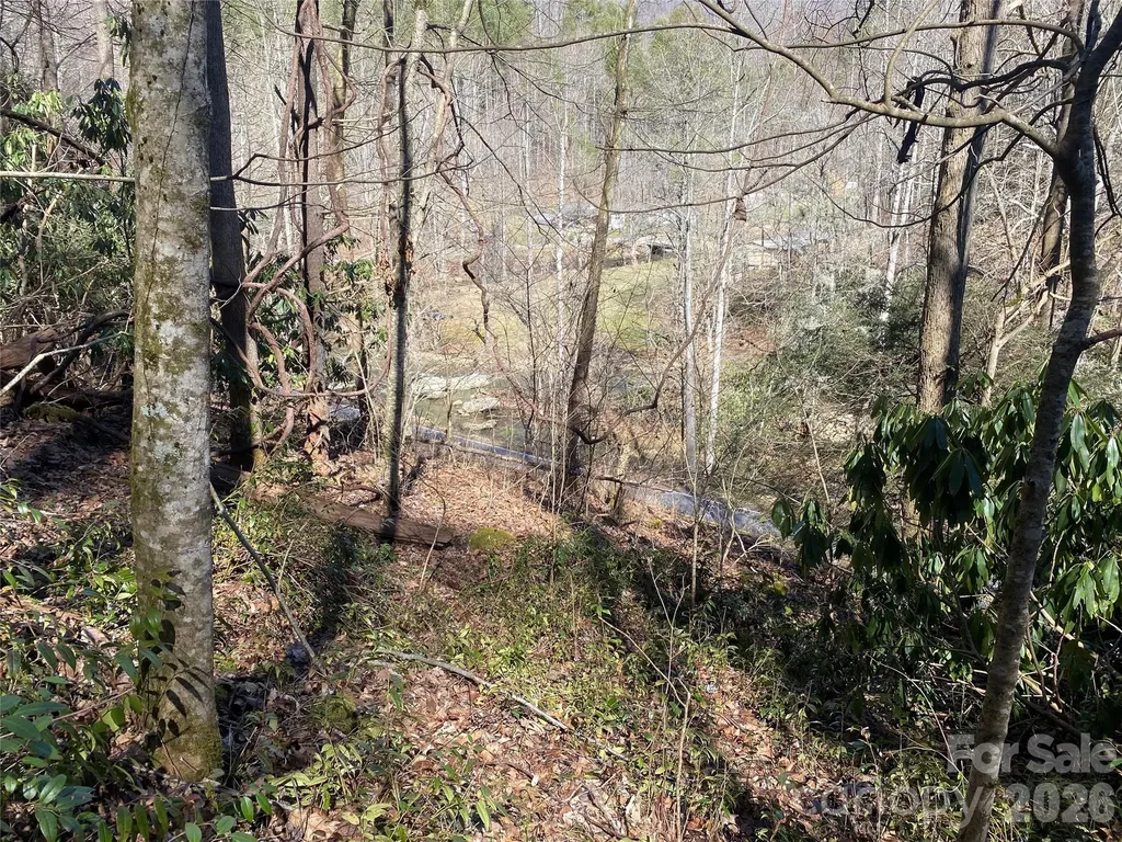 0000 Big Laurel Road Marshall NC 28753