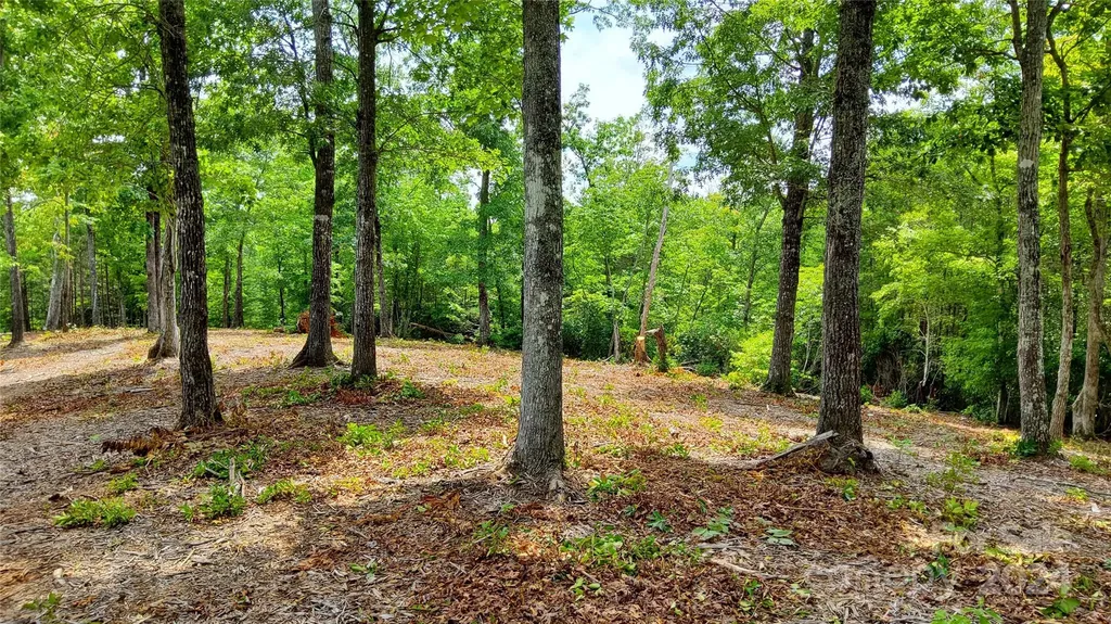 00 Wambli Pass Lake Lure NC 28746