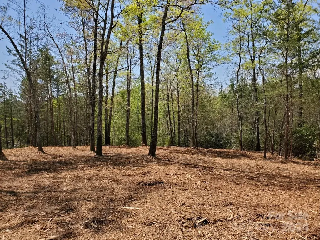 00 Wambli Pass Lake Lure NC 28746