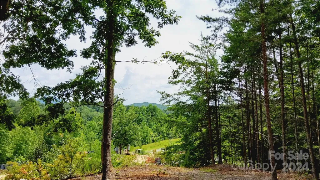 00 Wambli Pass Lake Lure NC 28746