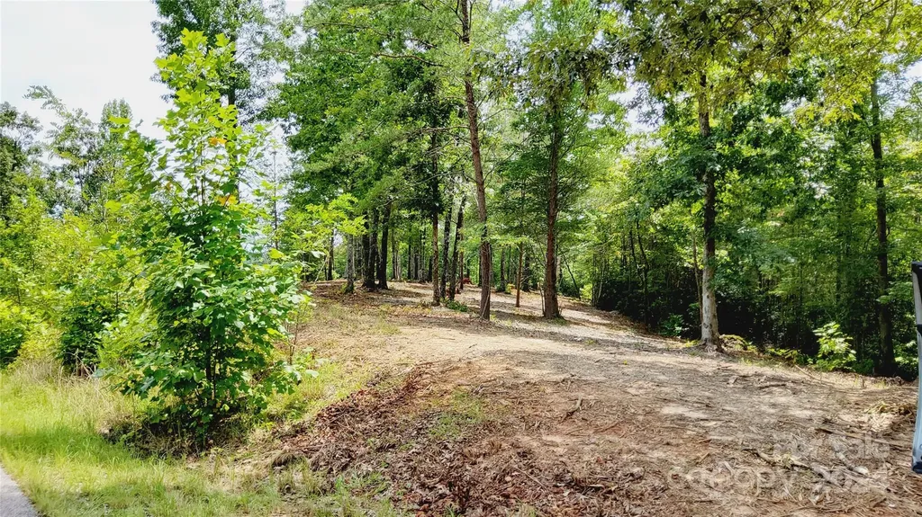 00 Wambli Pass Lake Lure NC 28746