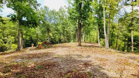 00 Wambli Pass Lake Lure NC 28746