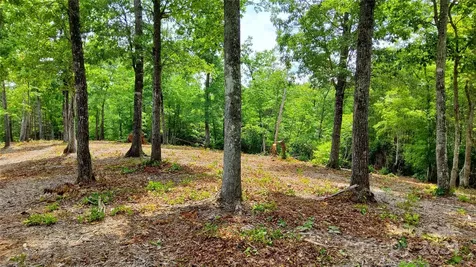 00 Wambli Pass Lake Lure NC 28746