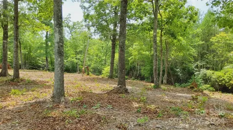 00 Wambli Pass Lake Lure NC 28746