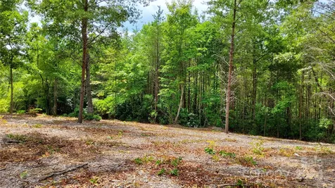 00 Wambli Pass Lake Lure NC 28746