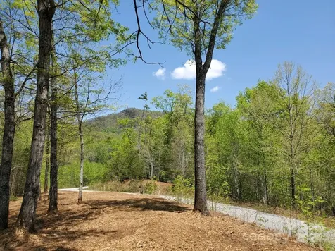 00 Wambli Pass Lake Lure NC 28746