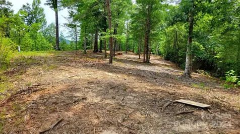 00 Wambli Pass Lake Lure NC 28746