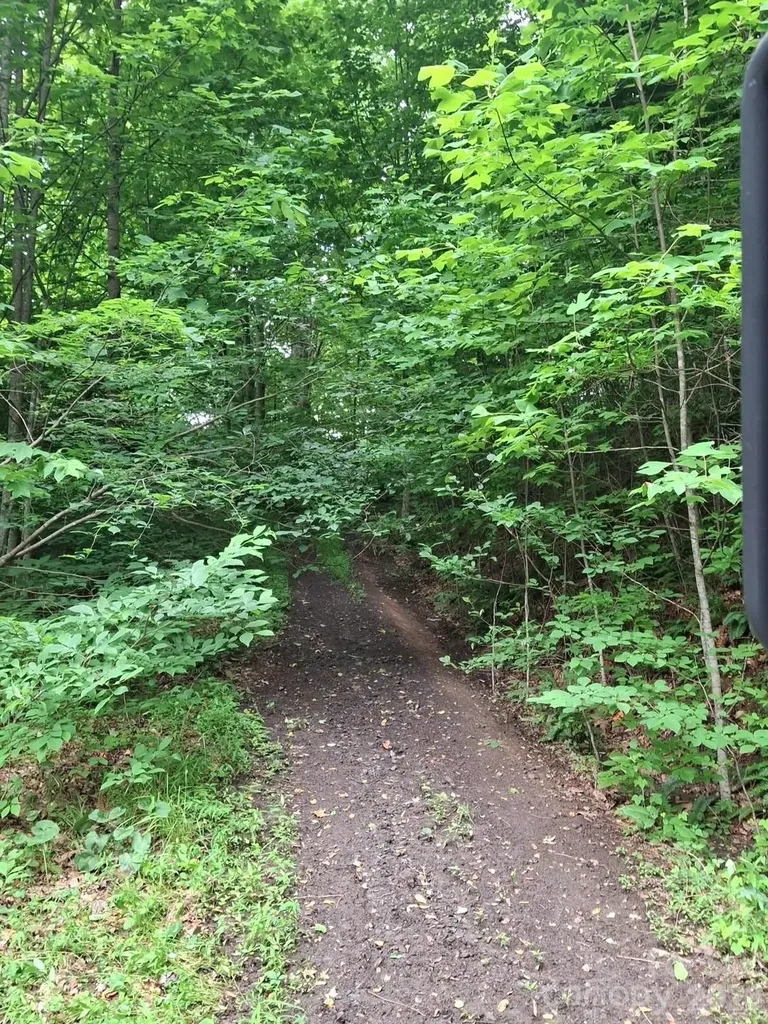 99999 Windswept Drive Burnsville NC 28714