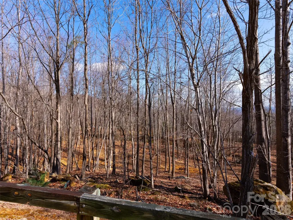 220 Chesterfield Drive Mill Spring NC 28756