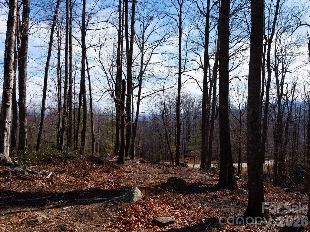 220 Chesterfield Drive Mill Spring NC 28756