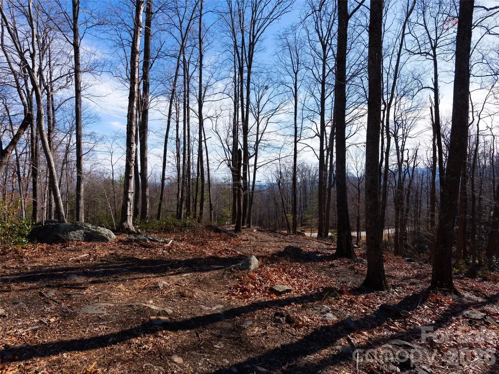 220 Chesterfield Drive Mill Spring NC 28756