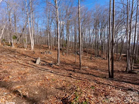 220 Chesterfield Drive Mill Spring NC 28756