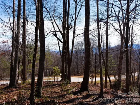 220 Chesterfield Drive Mill Spring NC 28756