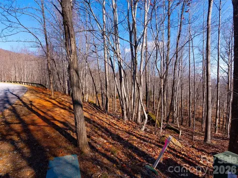 220 Chesterfield Drive Mill Spring NC 28756